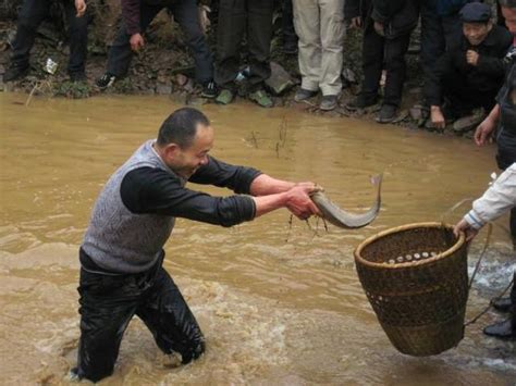 夢見捕魚|夢見捕魚